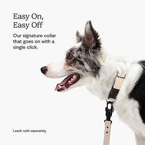 FABLE Signature Collar - Lightweight, Waterproof, & Durable Dog Collar - Coated Webbing Collar with Aluminum Buckle - Easy On/Off & Re-Sizing - Easy to Clean - Blush - Small