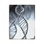DNA Chain Photo