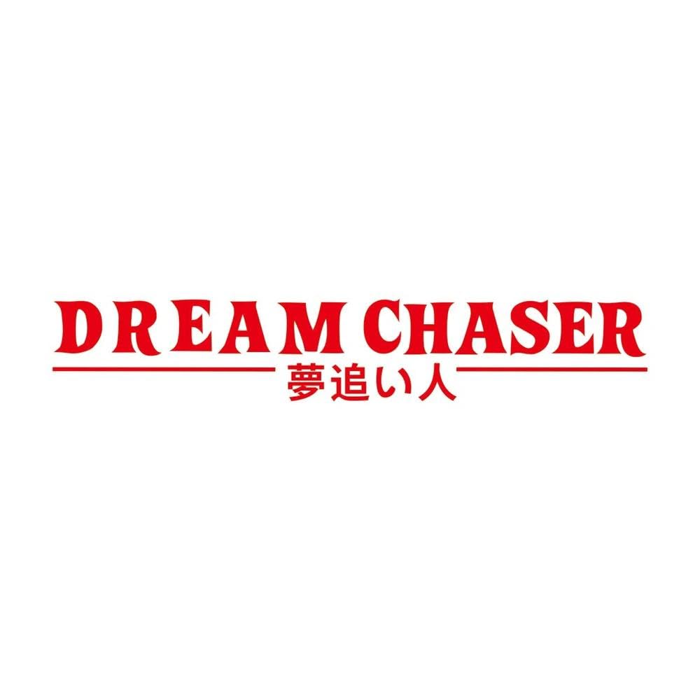 Auto Accessory Dream Chaser Car Rear Windshield Sticker Vinyl Decal Automobile Accessories(Red)