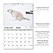 2020 Wall Calendar - Pooping Dogs 2020 Calendar with Thick Paper, Large 11