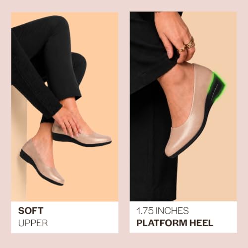 Image of FAUSTO Women Bellies