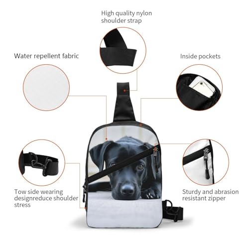 Cute Black Dog Print Men's and Women's Foldable Crossbody Bag,Sports Crossbody Bags,and Daily Chest Bags3