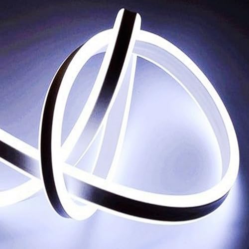 Tira de luces LED neón doble cara 20FT 110V-130V blanca día miniatura 2
