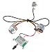 Two Pickup Guitar Wiring Harness,3 Way Blade Switch 500K,Great w/ Humbuckers