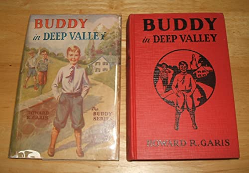 Buddy in Deep Valley or A Boy on A Bee Farm [Unknown] B000J503YO Book Cover