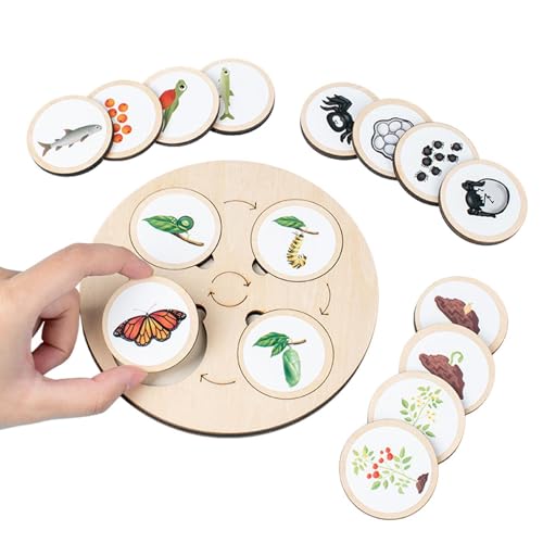 Life Cycle Kit - Wood Toys Life Cycle | Nature Game Teaching Aids Toy For Interaction Game 3 4 5 6-Year-Old Boys And Girls