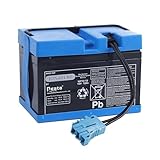 12 Volt 12Ah for Peg Perego Taurus Utility Truck for Polaris Slingshot for Polaris RZR 900 for John Deere Gator XUV for Gaucho Rock'in Ride on Car