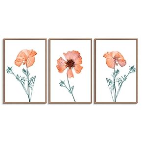 signwin 3 Piece Framed Canvas Wall Art Colorful...