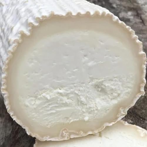 ELITE SELECTION tXY rbV h VF[ bOXtFbhRr̔Jrn`[Yb؂肽Ă̔ZȖ킢b݂͂ ibc oQbgɂ҂ French Buche de Chevre bWhite Mold Ripen