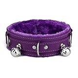 Blinan Leather choker...image