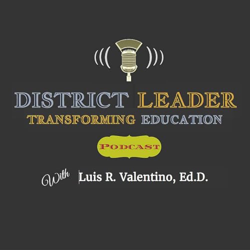 District Leader Titelbild