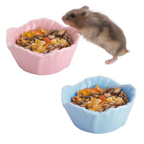 VanEnjoy 2 Pack Ceramic Guinea Pig Food Bowl Cute Flower Hamster Cage Accessories for Chinchilla Hedgehog Pink and Blue Small Animal Water Dish