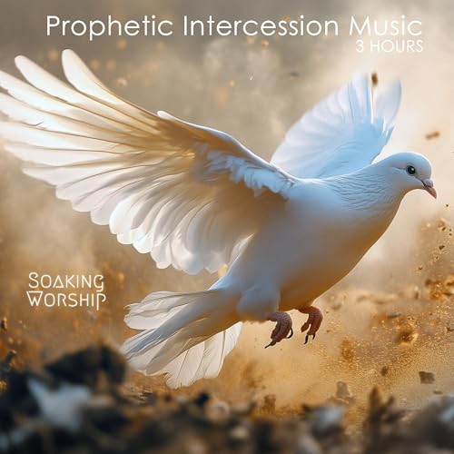 3 Hours Instrumental Soaking Worship, Prophetic Intercession Music for Prayer