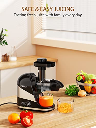Wamife Slow Masticating Juicer Machine, Cold Press Juicer Extractor, 2 Modes & Reverse Function For High Nutrient Fruit & Vegetable Juice, Quiet Motor, With Cup & Brush(Black) #TOP3