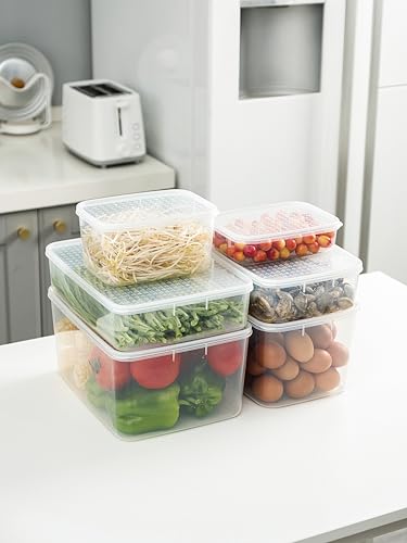 Cetomo 10L*4 Gefrierbehälter, Frischhaltedose, Vorratsdosen mit Deckel, Behälter Gefrierschrank fur Kühlschrank, Gefriergeeignet, Mikrowellengeeignet, BPA-freier Kunststoff, Klar, 10L-4er Set