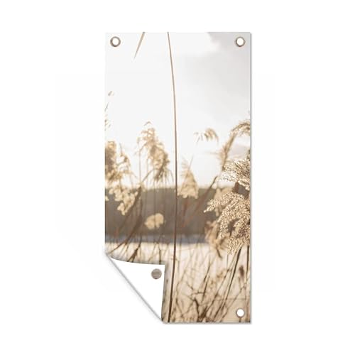 MuchoWow Poster exterieur Eau - Herbe de la pampa - Plantes Decoration murale 30x60 cm Résistant aux intempéries/soleil