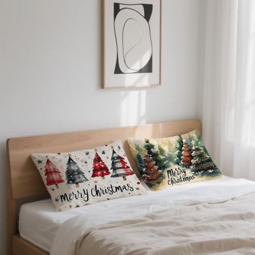 Coussins Canape Decoratif 50x70 Anti Humidité en Velours