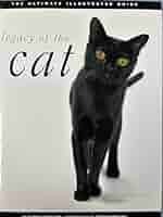 洋書 Luxury for Cats teNeues Luxury for Cats teNeues - メルカリ