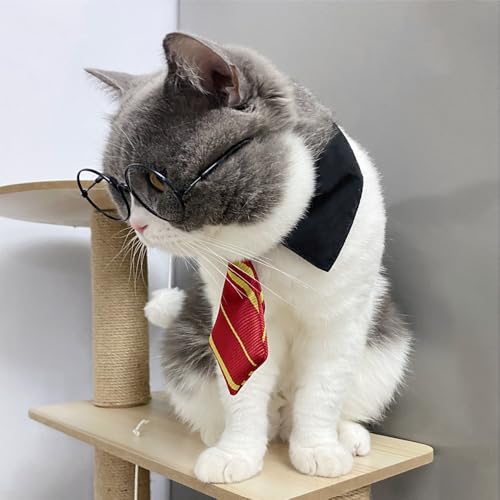 Disfraz de Brujo para Mascotas Pequeñas miniatura 6