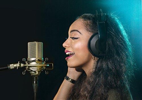 MXL 990, XLR Connector Condenser Microphone - Thumbnail 7