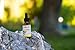 Eclectic Institute Kids, Herbal Cough Elixir, Black Cherry Flavored | Non-GMO, Gluten-Free | 1 fl oz (30 ml)