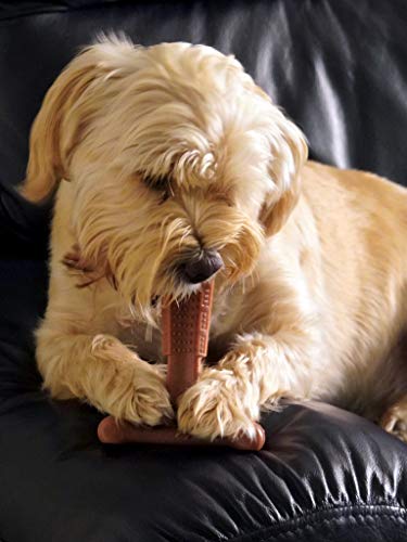 Bamboodles T-Bone Dog Chew Toy – Large | Peanut Butter Flavour | Long Lasting Dog Chew Stick for Large Breeds | Durable Natural Chew Toy to Help Satisfy Power Chewers - Image 5
