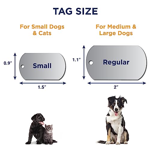 Gotags Stainless Steel Pet Id Tags, Personalized Dog Tags And Cat Tags, Up To 8 Lines Of Custom Text, Engraved On Both Sides, In Bone, Round, Heart, Bow Tie And More #TOP4