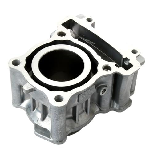 Kit de cilindro de 52mm compatible con 1B9-E1311-00 22B-E1311-10 MT125 YZF 5