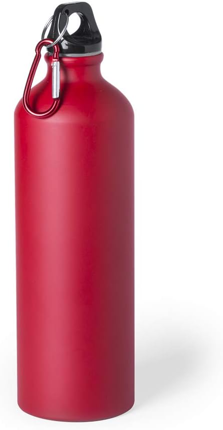 eBuyGB Metal Water Bottle 800ml Aluminium Leakproof Drinks Bottle Reusable BPA Free Matt Water Bottles with Carabiner Clip