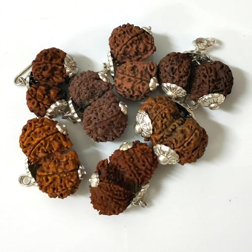 55Carat® 1 2 3 4 5 6 7 8 9 10 11 12 13 Mukhi Gauri Shankar Ganesh Mukhi Nepali 925 Silver Pendant Lab Certified Original Rudraksha rudrakshi Pure Locket for Men and Women3