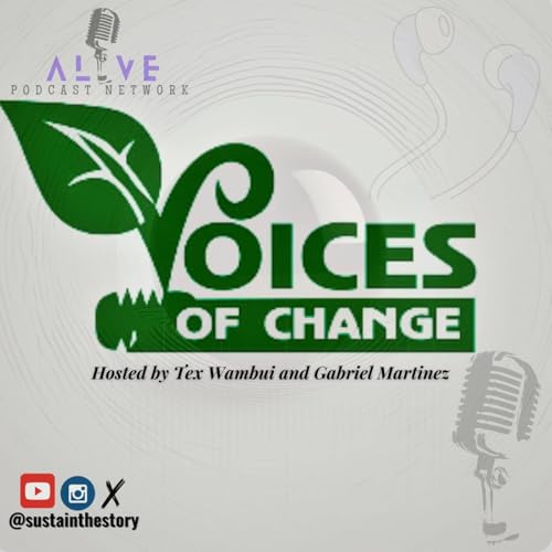 Voices of Change cover art