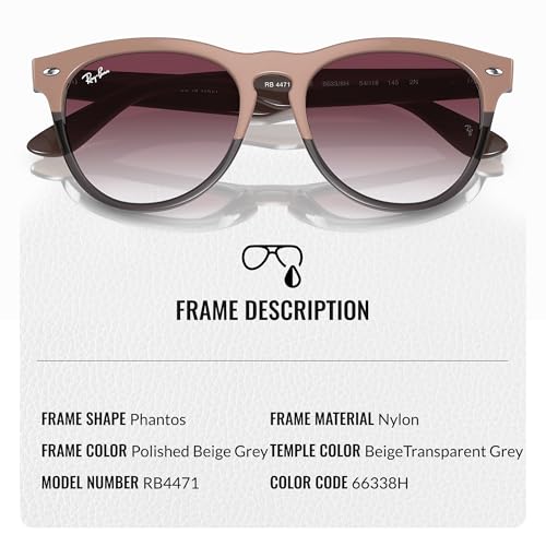 Ray-Ban RB4471 IRIS Phantos Shaped Sunglasses for Men & Women with Official RAYBAN Eyewear Kit3