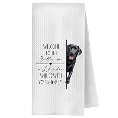 Black Labrador Retriever