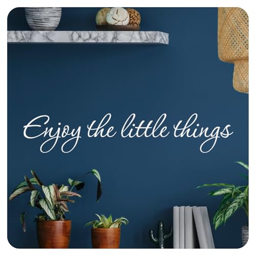 My Vinyl Story - Enjoy The Little Things - Inspirational
