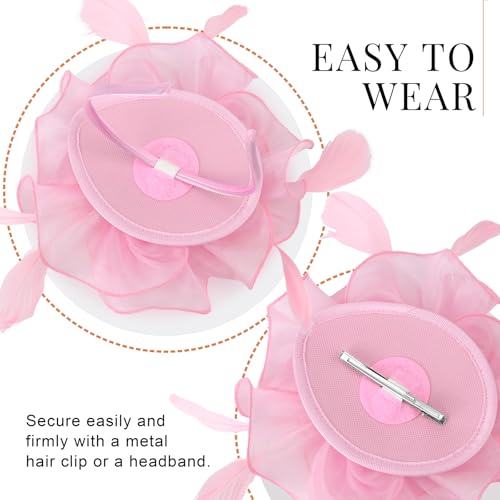 Image of DRESHOW Fascinators Hat Tea Party Headwear Ribbons Feathers on a Headband and a Clip for Women