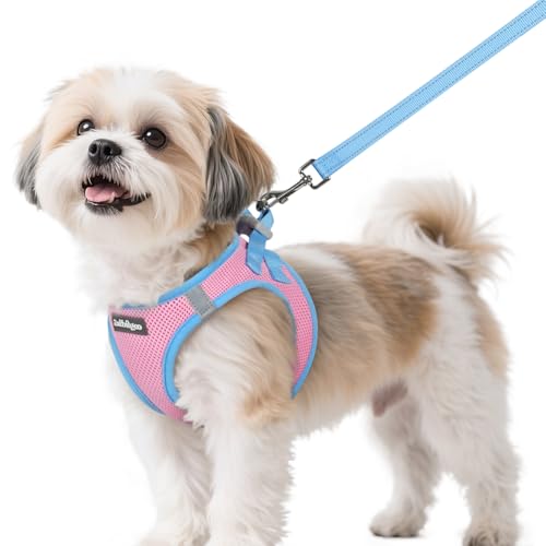 Rabbitgoo Step-In Harness & Leash Set (Pink & Light Blue, Small)