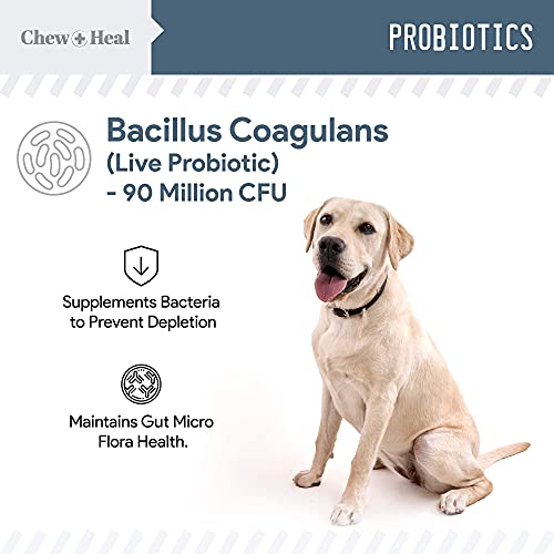 Digestive Enzymes And Probiotics And Cranberry Uti Support For Dogs - Supports Healthy Digestive Tract, Helps Nutrient Absorption - Healthy Urinary Tract And Bladder Function - 120 Soft Chews Each #TOP6