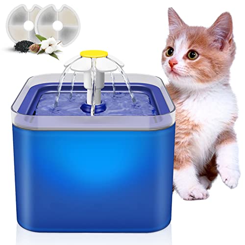Best Cat Water Fountains Best Cost