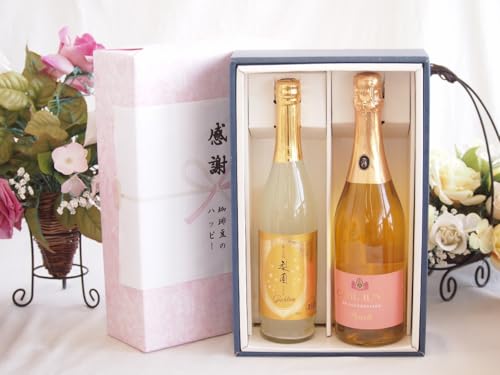 感謝の贈り物ボックス果物リキュール桃×梨特集2本セット(カールユング ピーチ ノンアルコールスパークリング(ドイツ) 老松酒造 梨園スパークリング6度(大分県)) 750ml×1本 500ml×1本