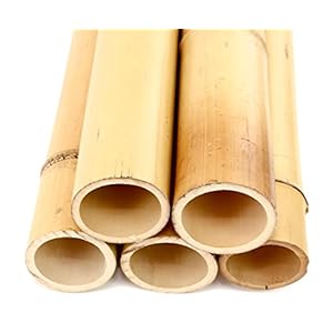 1 stuk Moso bamboe buis geel gebleekt 200 cm met 10 tot 12 cm diameter – bamboebuis, bamboebuizen, buizen van bamboe…