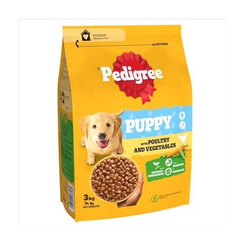 PEDIGREE Puppy Medium Dog Complete Dry with Poultry and Rice 3kg