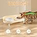 Bartuke Elevated Cat Bowls, Tilted Rised Cat Food and Water Bowl with 2 Pcs Ceramic Pet Bowls, Rised Stand, Pet Dish Anti Vomiting Feeding Station for All Sized Cats & Small Dogs (Milk Coffee)