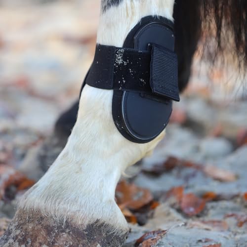 Foto von RL24 - Gamaschen & Streichkappen (4er Set) | Pferdebeinschutz mit Klettverschluss | weich gefüttert, anatomisch geformt & stoßabsorbierend | Pony & Pferde Zubehör in Grau für Warm- & Vollblut