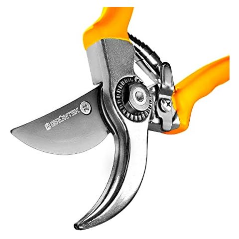 GRÜNTEK Bypass Secateurs WOODPECKER, Allround Comfort Gardening Pruning Shears/Scissors with Japanese SK5 Steel Blade 55 mm Cover