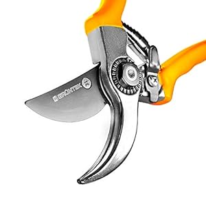 GRÜNTEK Tuinschaar fruitschaar specht 215 mm Bypass wijnschaar. Comfortabele boomplantenschaar met geldteruggarantie 90 dagen!