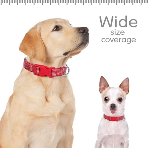 Didog Reflektierendes Hundehalsband mit Schnalle, verstellbar, weiches Neopren, gepolstert, Nylon, Haustierhalsbänder für kleine, mittelgroße und große Hunde, Rot, M