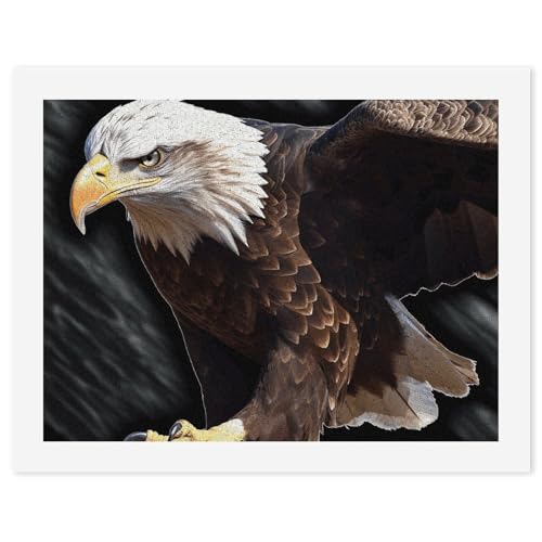 Kit peinture par numéros aigle idée cadeau adulte