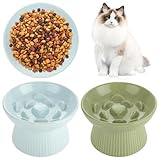 YAYODS 2PCS Ceramic Raised Cat Slow Feeder Bowls - Anti-Gulping & Anti-Vomiting, Non-Slip Puzzle Food Bowls for Cats & Small Dogs, Whisker-Friendly Design for Wet & Dry Food (Blue & Green)