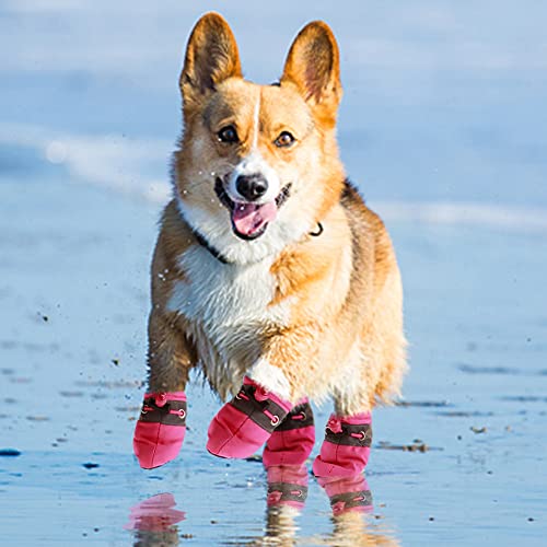 Chaussures pour petit chien chiot légères antidérapantes t38 - 6