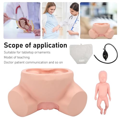 Modelo de demostración de simulador de nacimiento para entrenamiento avanzado de partería y educación de enfermería en obstetricia y ginecología